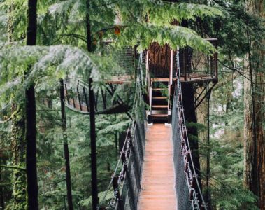 Treetop walk in Stanley Park in Vancouver, Canada