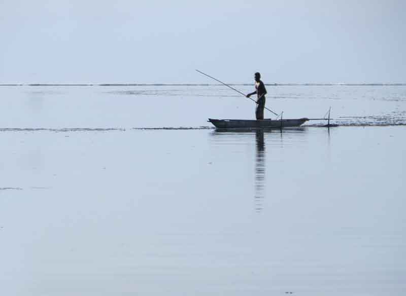 Patrick Duffy's Tasmania