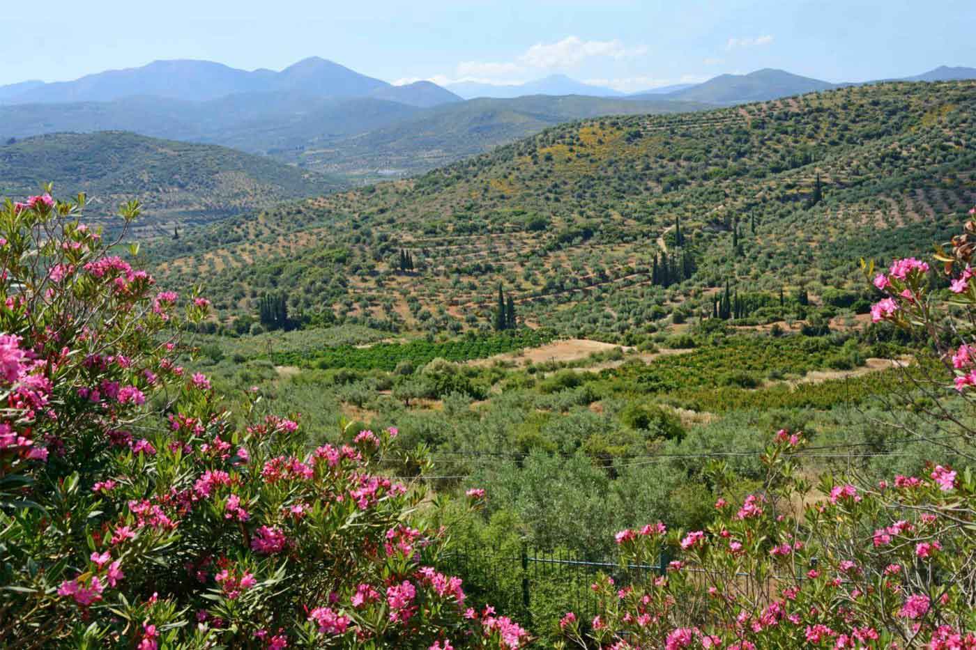 Attica, Athens, Greece