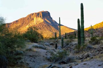 Arizona, USA