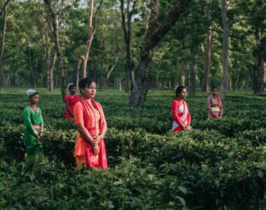 Assam, India