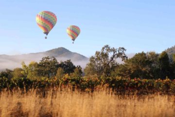 Valley inspired, Napa Valley, California, USA