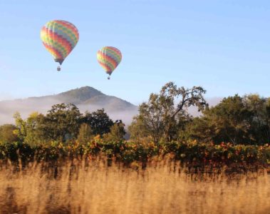 Valley inspired, Napa Valley, California, USA