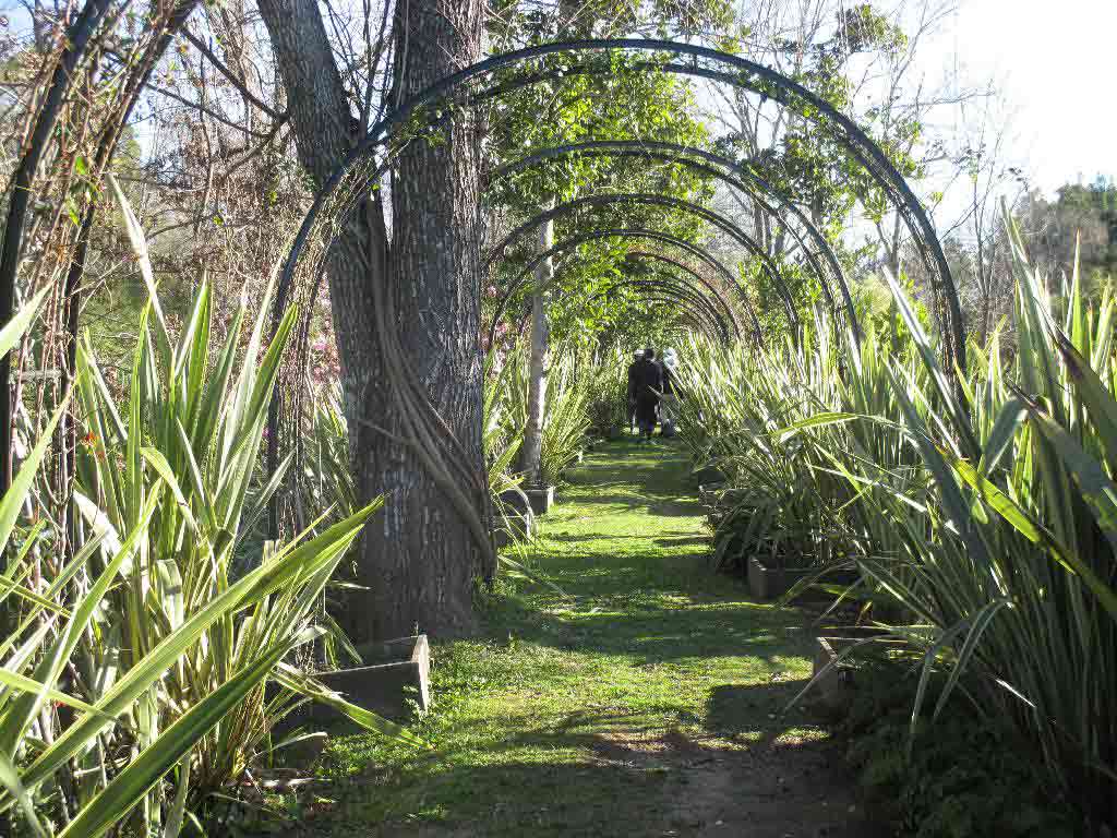 Isla El Descanso, Tigre, Argentina