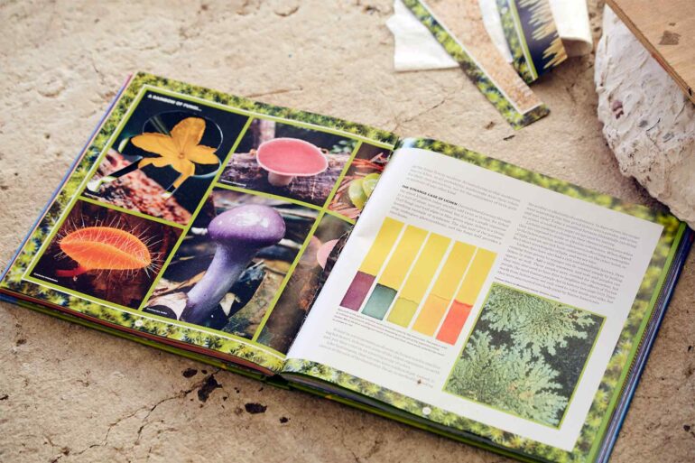 Inspiration in the atelier of Stevie Hanley, Chicago, Illinois, USA