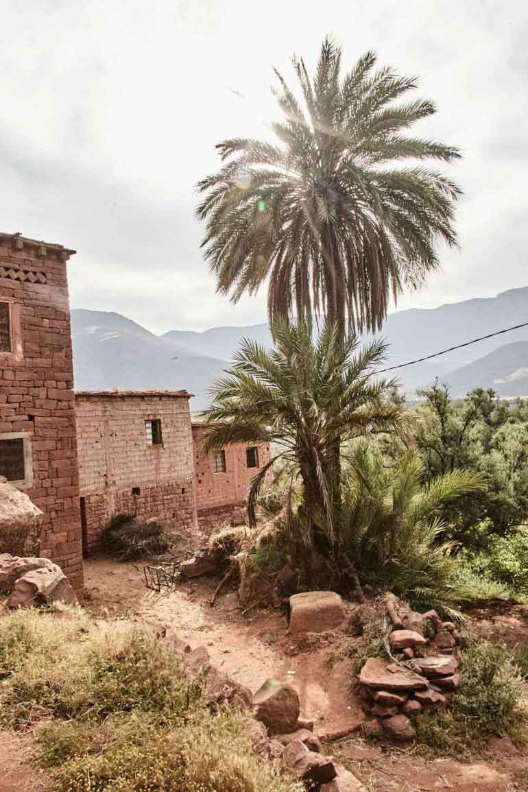 Ourika moment, Atlas Mountains, Morocco
