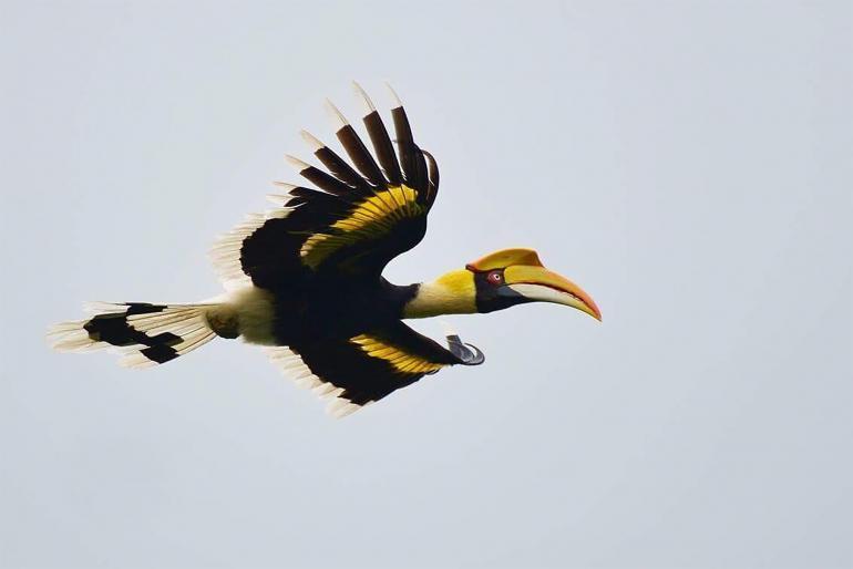 Four Seasons Langkawi, Malaysia