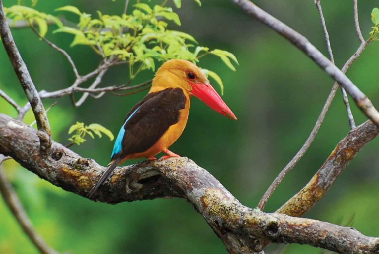 Four Seasons Langkawi, Malaysia