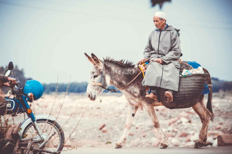 Ourika moment, Atlas Mountains, Morocco