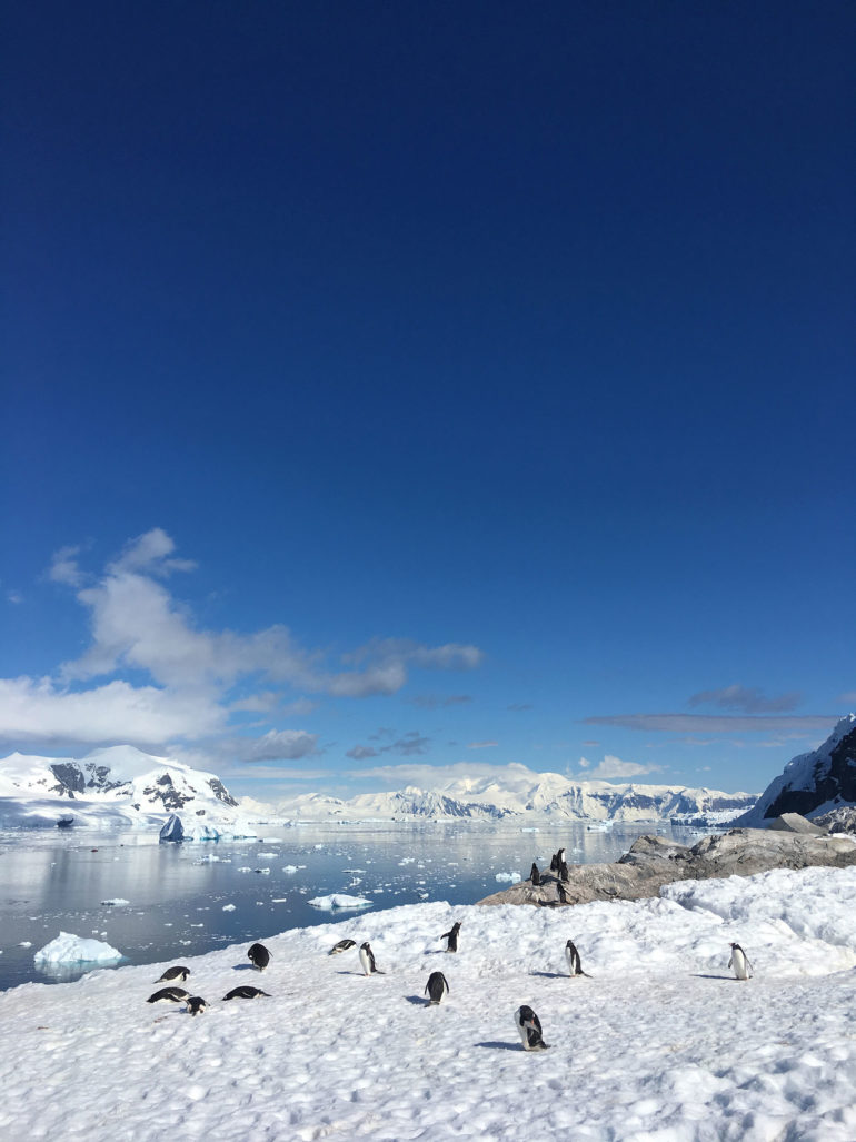 Antarctica