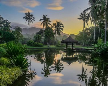 The Farm at San Benito, Philippines