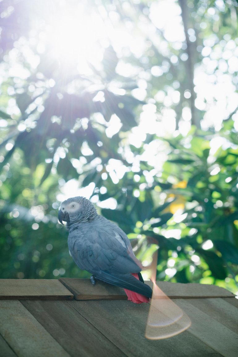 Niyama Private Islands, Maldives