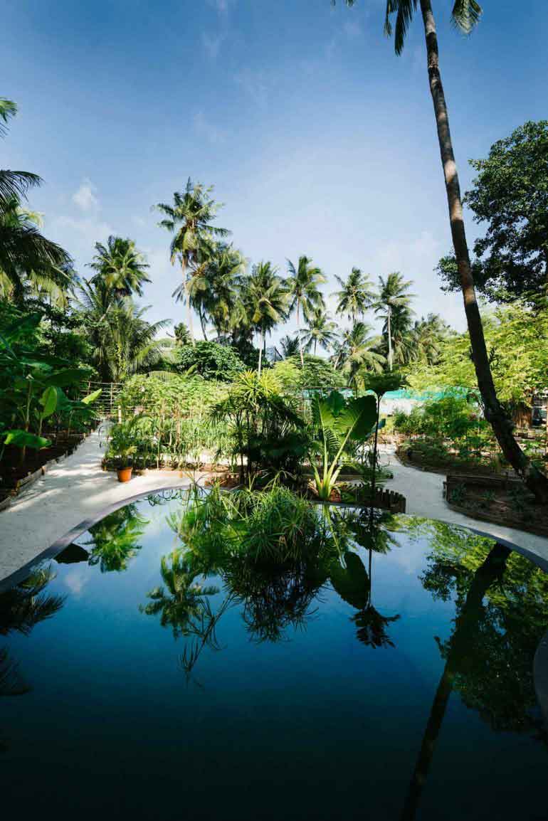 Niyama Private Islands, Maldives