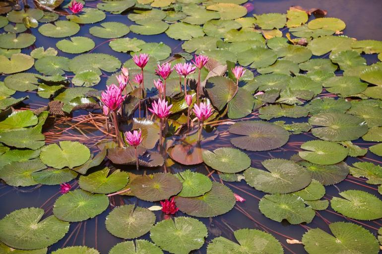 Four Seasons resort the nam Hai, Hoi an, Vietnam