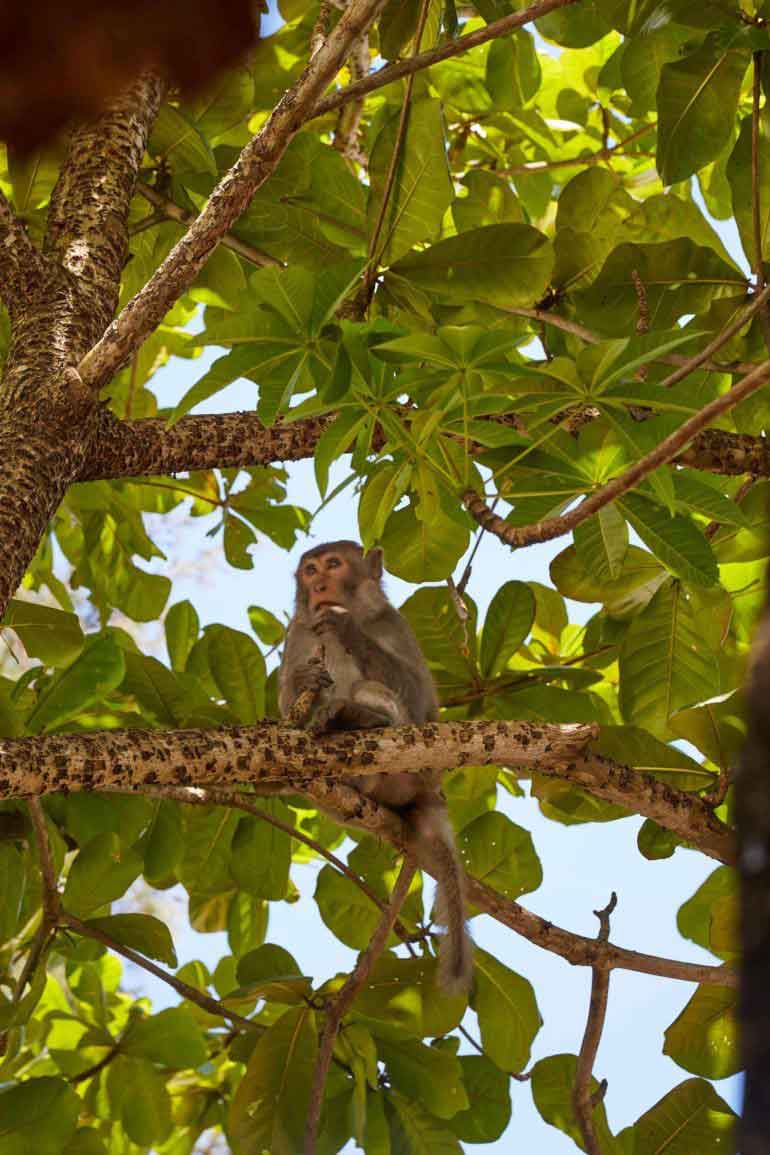 Four Seasons resort the nam Hai, Hoi an, Vietnam