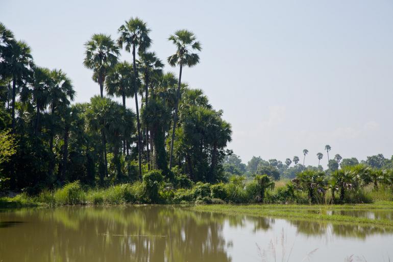 The Strand Cruise, Mandalay to Bagan, Myanmar