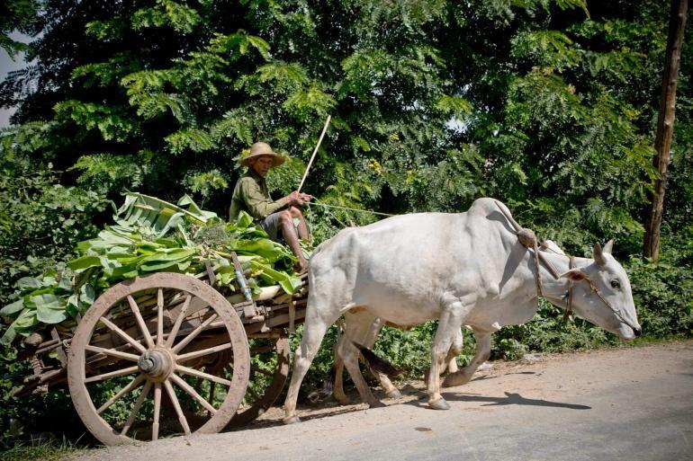 The Strand Cruise, Mandalay to Bagan, Myanmar