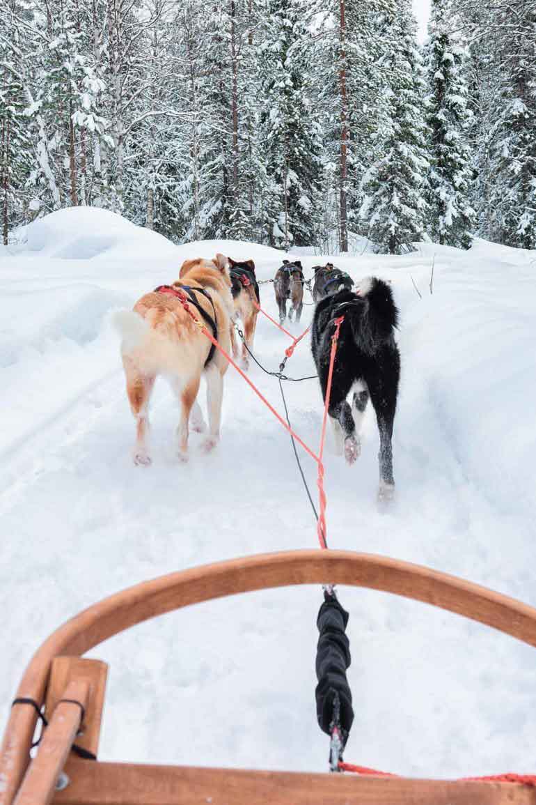 Torassieppi, Finland