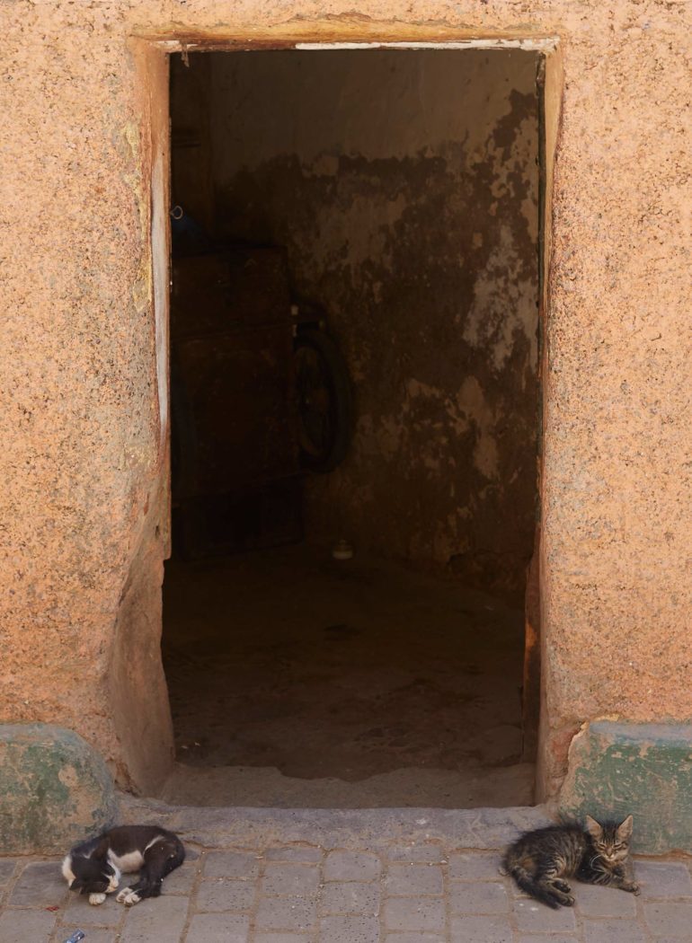 Doors of the Ochre City, Marrakech, Morocco