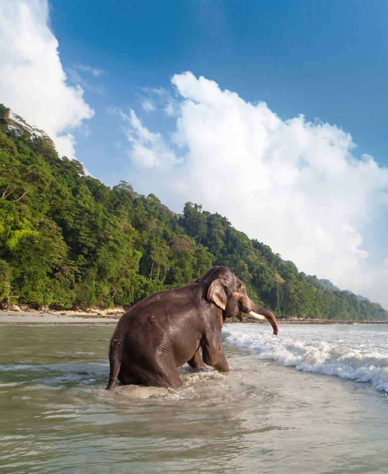 Taj Exotica Resort & Spa, Havelock Island, Andamans, India