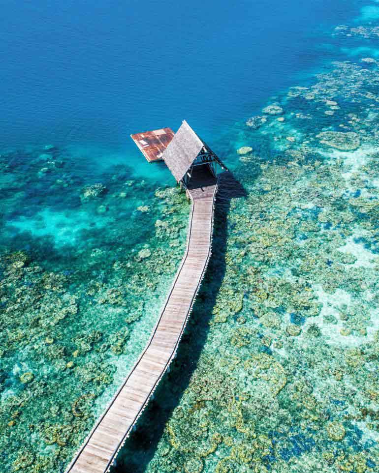 Bawah Reserve, Anambas Islands, Indonesia