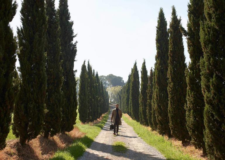 The reprise, Tuscany, Italy, photography by David Edwards