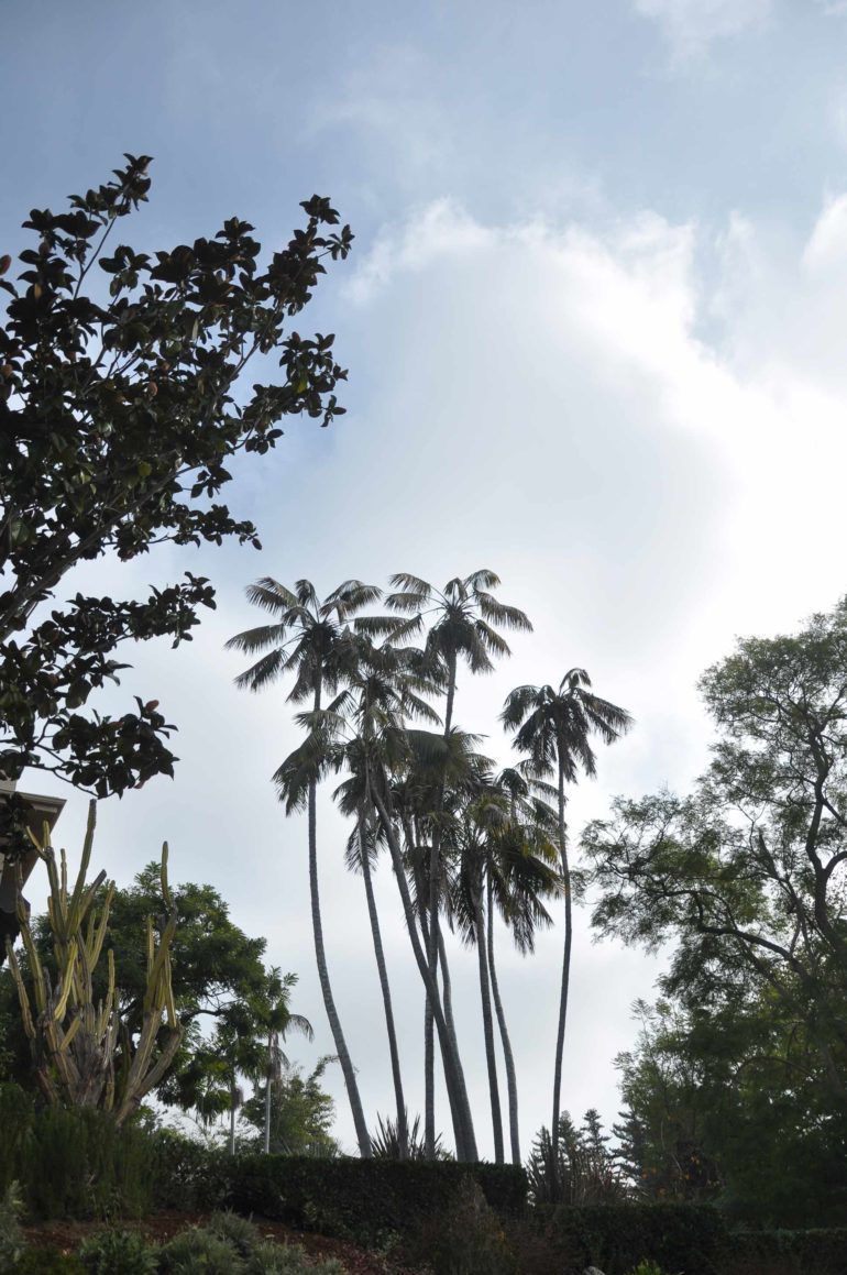 Virginia Robinson Gardens and Estate, Beverly Hills, Los Angeles, California, USA