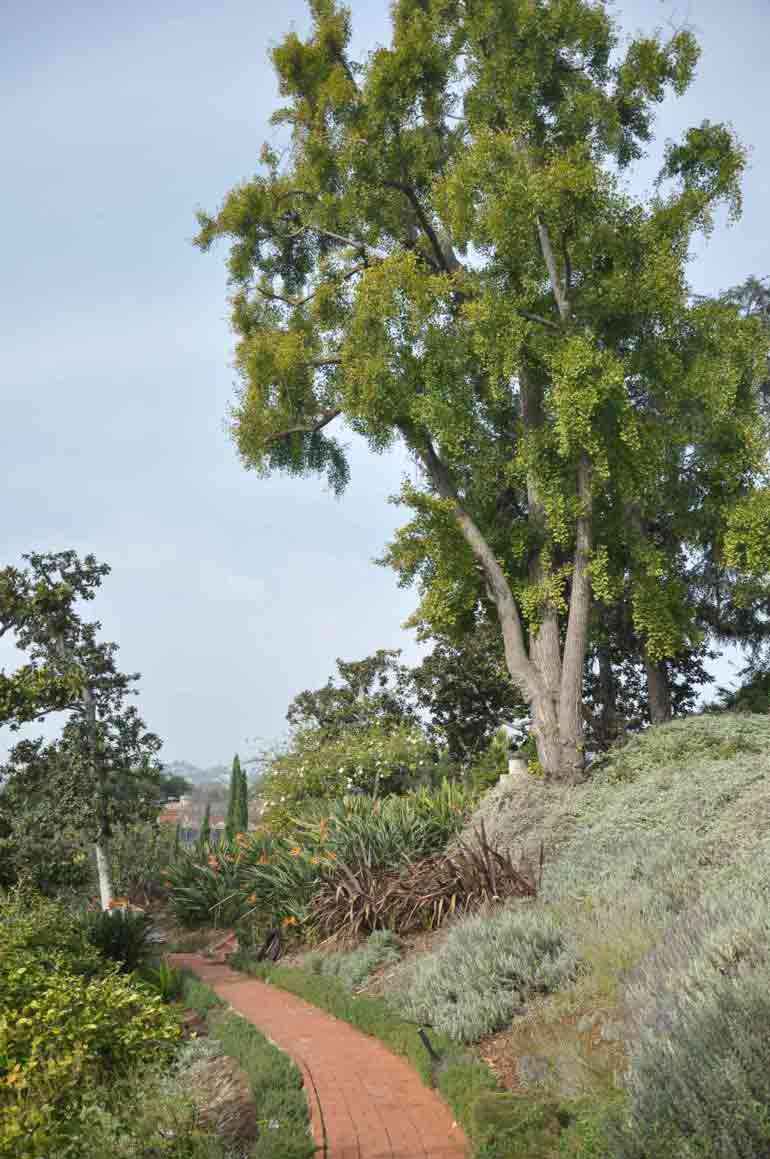 Virginia Robinson Gardens and Estate, Beverly Hills, Los Angeles, California, USA