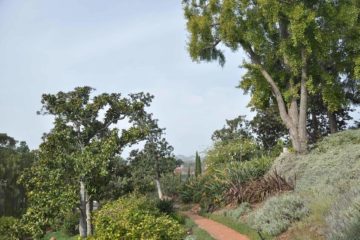 Virginia Robinson Gardens and Estate, Beverly Hills, Los Angeles, California, USA