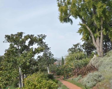 Virginia Robinson Gardens and Estate, Beverly Hills, Los Angeles, California, USA