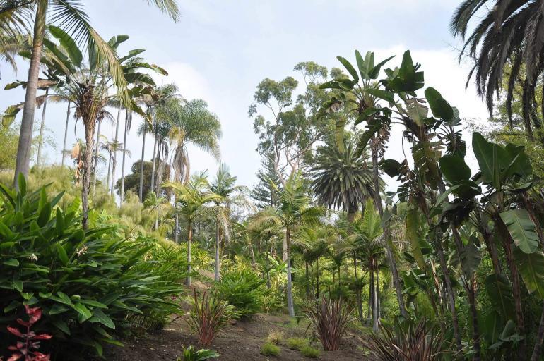Virginia Robinson Gardens and Estate, Beverly Hills, Los Angeles, California, USA