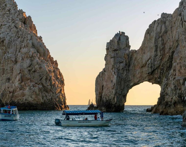 Sea of Cortez, Baja California, Mexico
