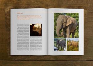 OutThere<br>The Seductive Sri Lanka Issue - Image 4