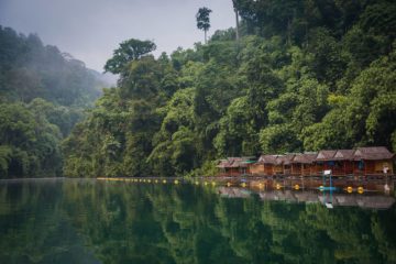 Khao Sok National Park, Thailand