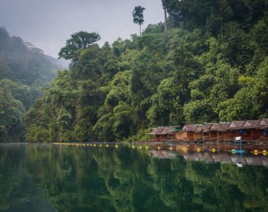 Khao Sok National Park, Thailand