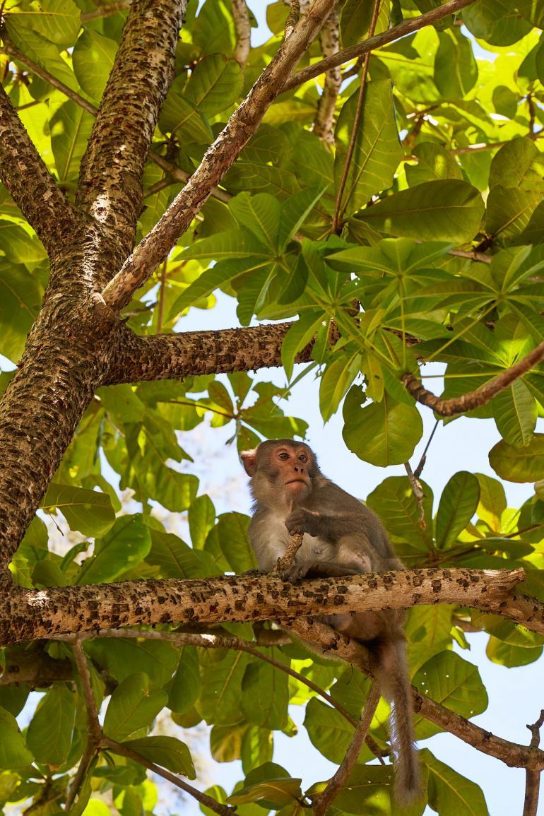 Hoi An, Vietnam. Photography by Martin Perry
