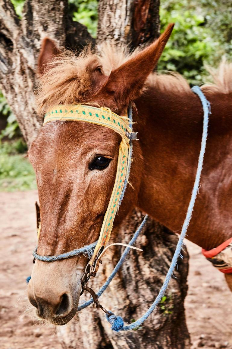 OutThere creative director, Martin Perry capture the Atlas mountain's allure