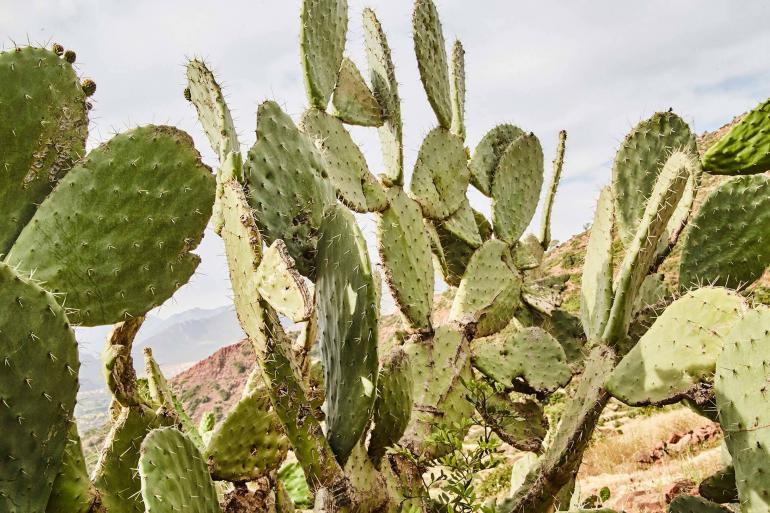 OutThere creative director, Martin Perry capture the Atlas mountain's allure