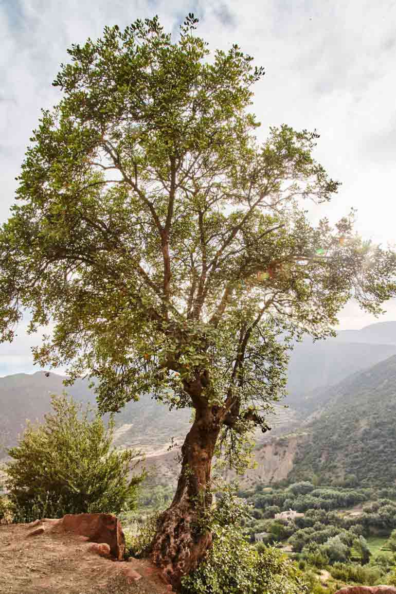 OutThere creative director, Martin Perry capture the Atlas mountain's allure