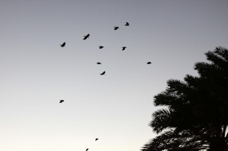 Martin Perry photographs the Sinai Peninsula, Egypt