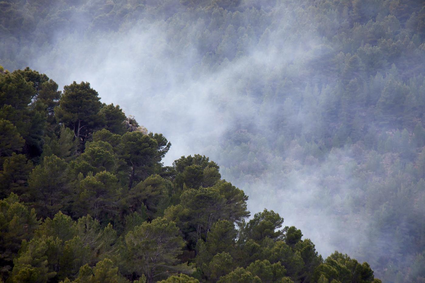 Mallorca, Balearic Islands, Spain by Martin Perry