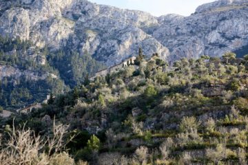 Mallorca, Balearic Islands, Spain by Martin Perry