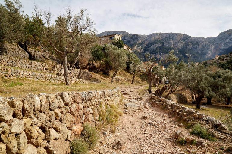 Mallorca, Balearic Islands, Spain by Martin Perry