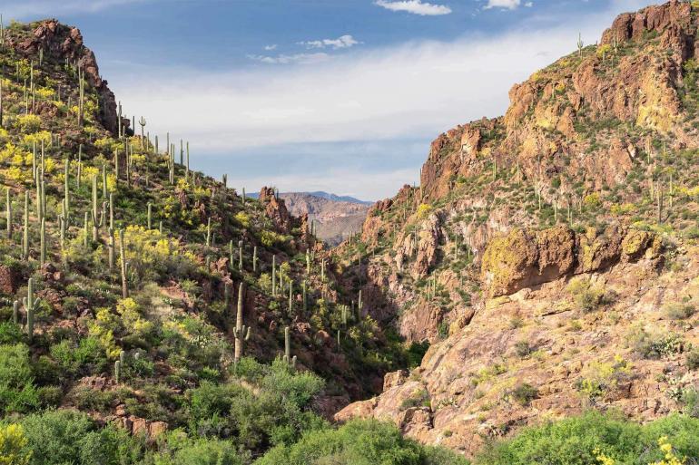 Scottsdale, Arizona, USA
