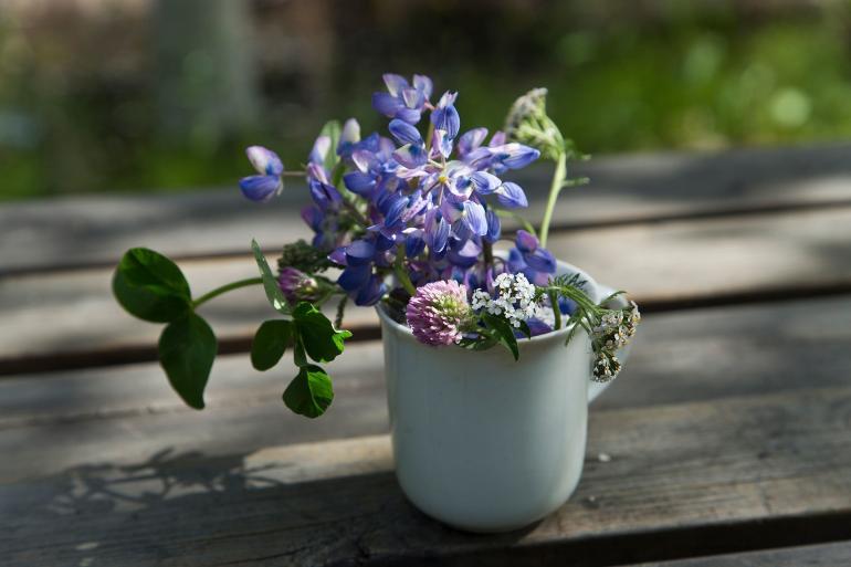 Midsummer in Swedish Lapland Sweden, photography by Martin Perry