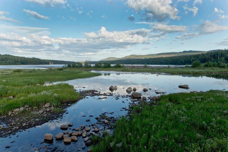 Midsummer in Swedish Lapland Sweden, photography by Martin Perry