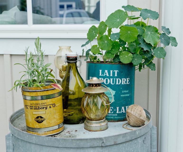 Midsummer in Swedish Lapland Sweden, photography by Martin Perry