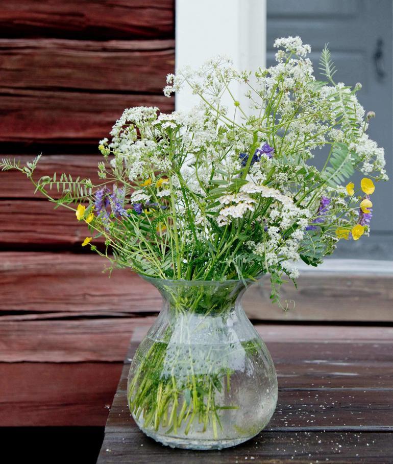 Midsummer in Swedish Lapland Sweden, photography by Martin Perry