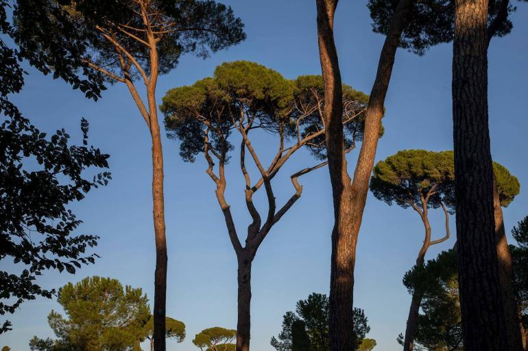 Rome photography by Martin Perry