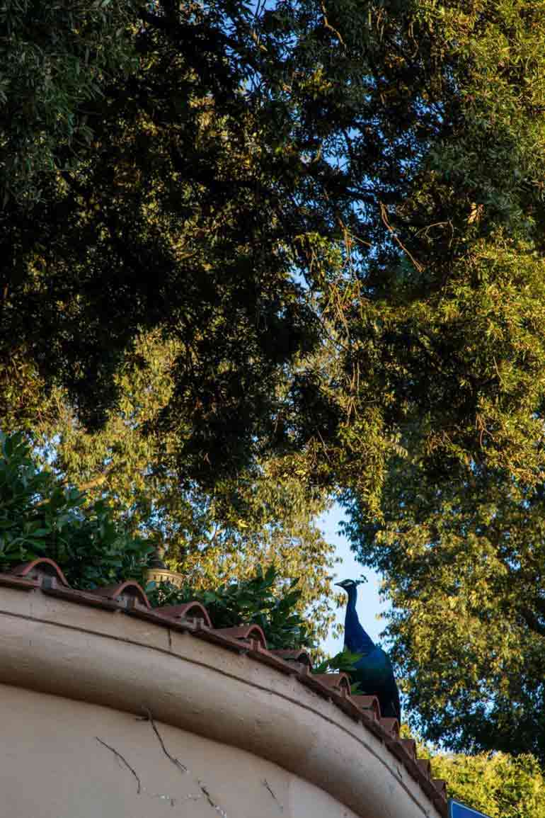 Rome photography by Martin Perry